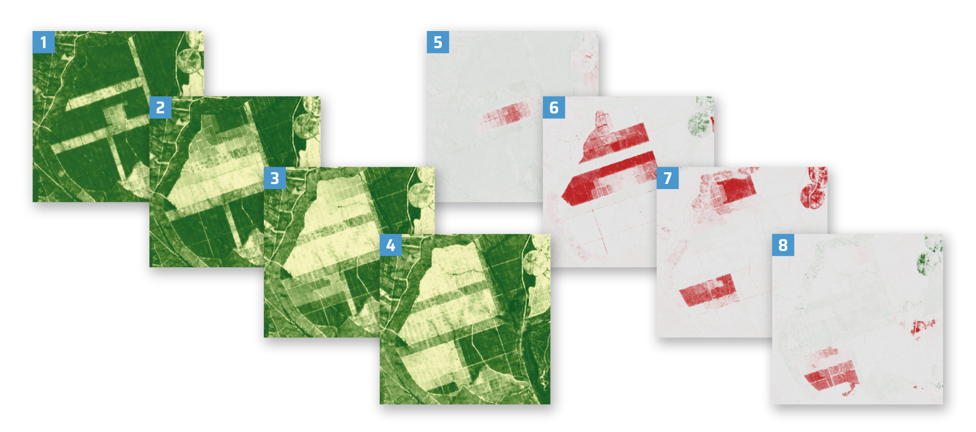 MIAEV - Mapas Intra-Anuais do Estado da Vegetação