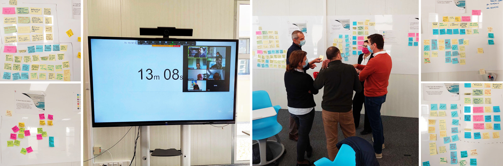 Cocriação com parceiros científicos e grupo de utilizadores para desenvolvimento de novos produtos e metodologias, Junho 2021